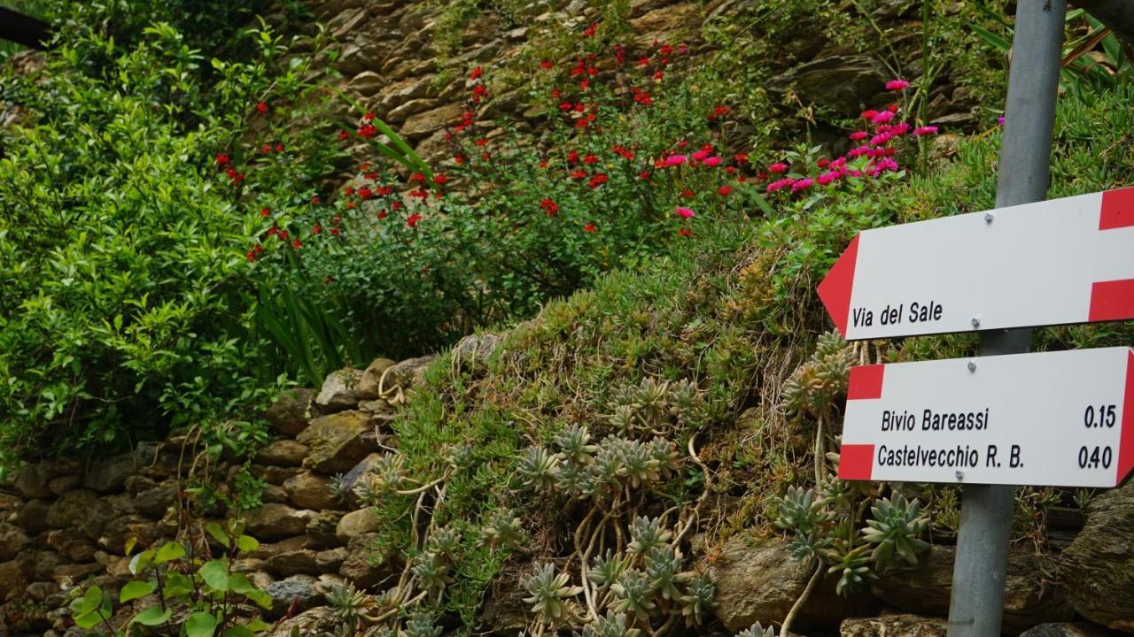 La Libellula Rossa Panzió Erli Kültér fotó